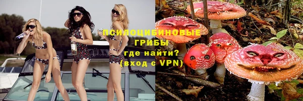 гашик Абаза
