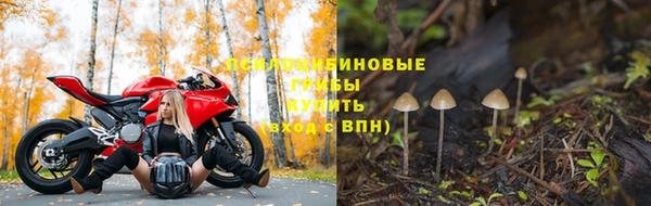 гашик Абдулино